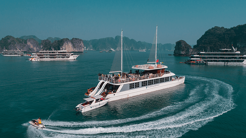 catamarancatba11